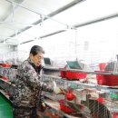 감먹은 토끼 이미지