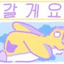 봉글살롱 이미지