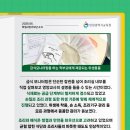 인천한들초등학교 이미지