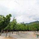 양주 신도시에서 가까운 스톤밸리 캠핑장. 이용 방법 및 예약