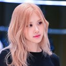 로제 탈색 후기 화이트골드 + 핑크빛 헤어