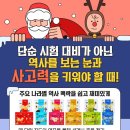 중등 세계사 이미지