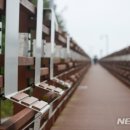 ‘곧 떠날 가을, 걸으며 흠뻑 물들어 볼까?’ 걷기추천길 6選