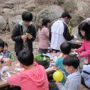 민주지산자연휴양림 이미지