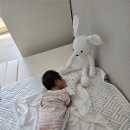 보성아산병원_지상3층 병동(2구역) | [아산] 삼성미즈병원 제왕절개 5박6일 후기 2탄~! (부제 : 슬기로운 병동생활)