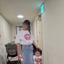 아영보세