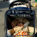 프라이스포유 이미지