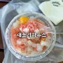 모든이의하우스 | “새들러하우스” 양즈깐루 화채 내돈내산 솔직 후기 / 잠실 롯데백화점 팝업 기간
