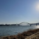 한강시민공원(화훼단지) 이미지