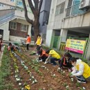 안양6동 행정복지센터 이미지