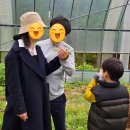 천안자연아놀자