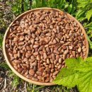 내몸사랑한의원 이미지