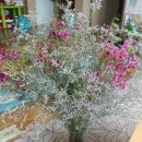 부평우일 이미지