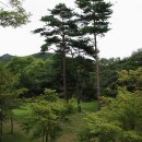 구수골로 이미지