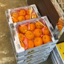 다산식자재마트 수동점 이미지