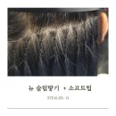 스틸러비(stealer:B) | 사당역붙임머리 천연생모소프트팁 내돈내산
