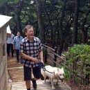 퍼스트독, 캣 이미지