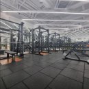 바디다짐 이미지