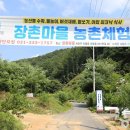 용인호박등불마을 이미지