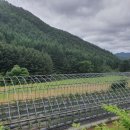 수원-0183 이미지