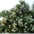 원광병원 이미지