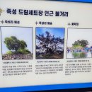 죽성 드림세트장 이미지