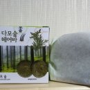 다모숲 이미지