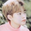 이즈쫑