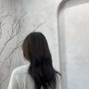 헤어블레스 이미지