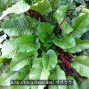 한민농장 이미지