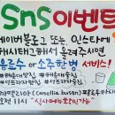 까멜리아 이미지