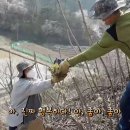 대장농원 이미지