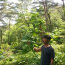 바우농장2 이미지