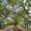 효성노인문화센터 앞 이미지