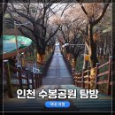 수봉궁도장 | 인천 미추홀구 숭의동 수봉공원 탐방 후기, 산책로 조성 좋은 근린공원 주차장 정보!