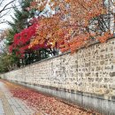 묘미 | &#39;미묘한 메모의 묘미&#39; 독서 후기