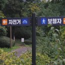 산책갈까? 이미지