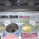 베라 이미지