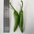 Chat GPT 활용한 강된장 만들기 이미지