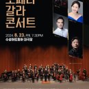 노보필하모닉오케스트라 오페라 갈라 콘서트 이미지