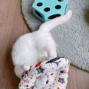 한수풀동물병원 이미지