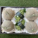 떼구르 이미지
