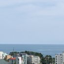 [국내여행] '21 여름 부산 청사포, 블루라인파크, 달맞이공원, 해운대, 카페 일다(ILDA), 고양이