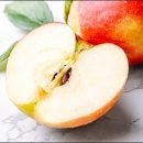 개척농업회사법인 주식회사 이미지