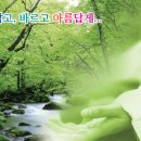 맑은숲요가명상