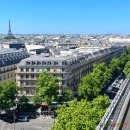 에덴선물나라 | 쇼핑 라파예트 백화점 식품관 쇼핑 리스트 밤잼 에덴꿀 트러플오일 트러플소금 초콜릿 / [엄마의 파리27...