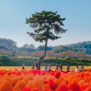 서울 가볼만한곳 베스트10 이미지