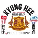 경희더샵 진흥태권도장 이미지