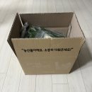 ONE유통 | [후기] 온라인 장보기 ONE유통