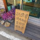 봉황3길 20 도로변 | 울주군맛집 곤드레밥으로 대접받는 기분이 드는 바른한상 후기